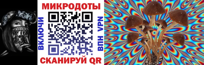 Псилоцибиновые грибы MAGIC MUSHROOMS  Великие Луки 